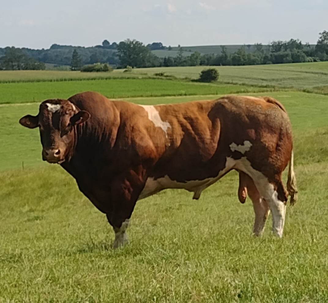 Ferme du Herda – Catherine & Christophe LOMBA